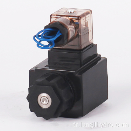 12 110 220V ile Hidrolik Solenoid Valf Bobin